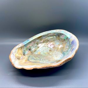 8” Abalone Shell